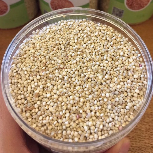 格尔木市白藜麦  青海藜麦雪藜品种