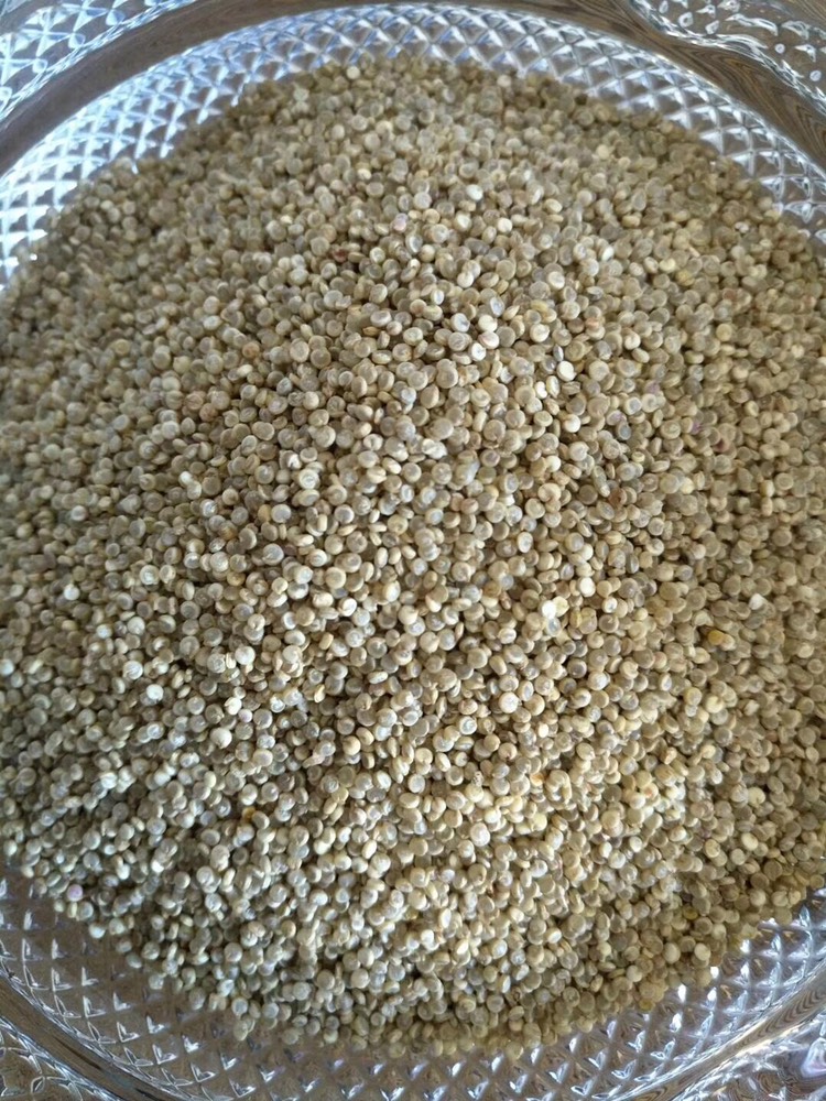 格尔木市青藜麦  青海有机藜麦1号品种脱皮成品藜米