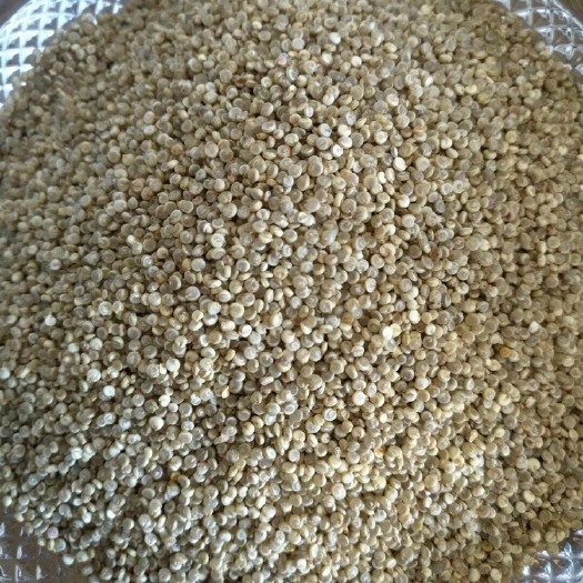 青藜麦  青海有机藜麦1号品种脱皮成品藜米