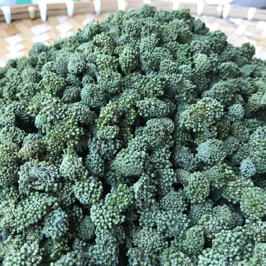 三七花