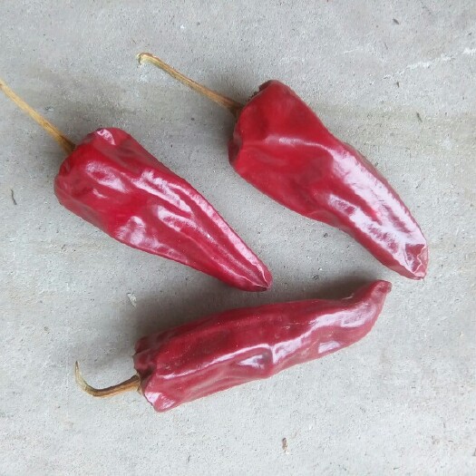 晋中益都红辣椒 5~10cm 紫红 微辣