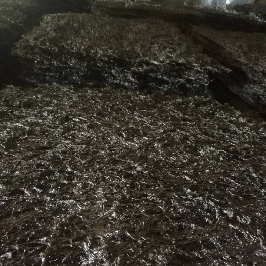 霞浦县霞浦紫菜
