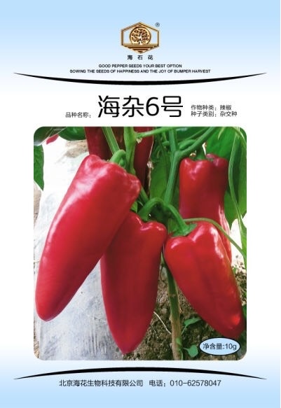 北京甜椒种子 95%以上 杂交种