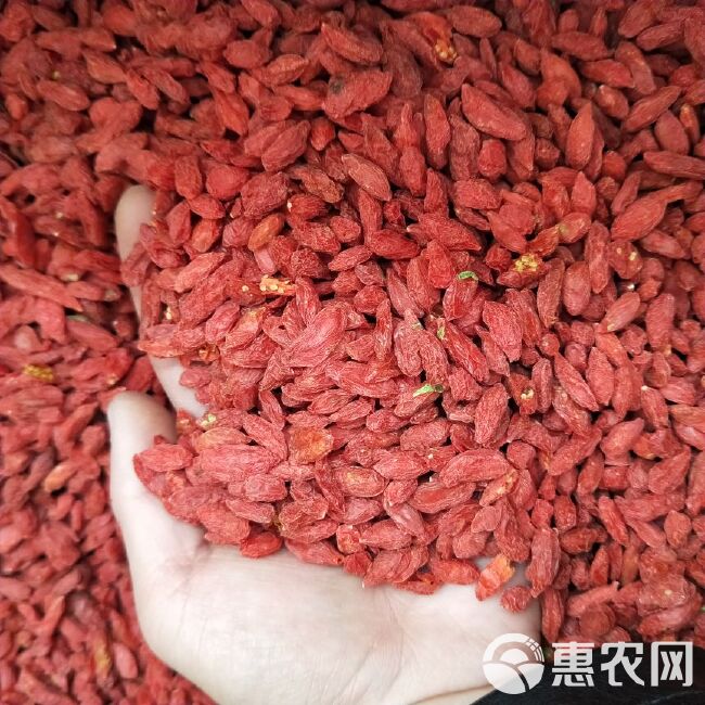 红枸杞特级大颗粒250克500克装个大饱满色泽红润人工手选