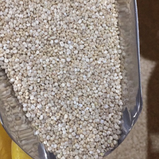 格尔木市白藜麦