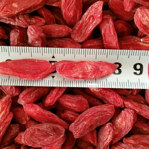 格尔木市青海枸杞 特优级 