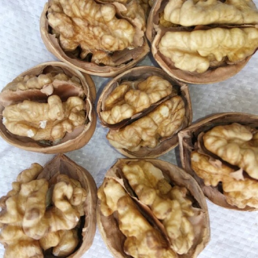 阿克苏市纸皮核桃  温185 （精选）