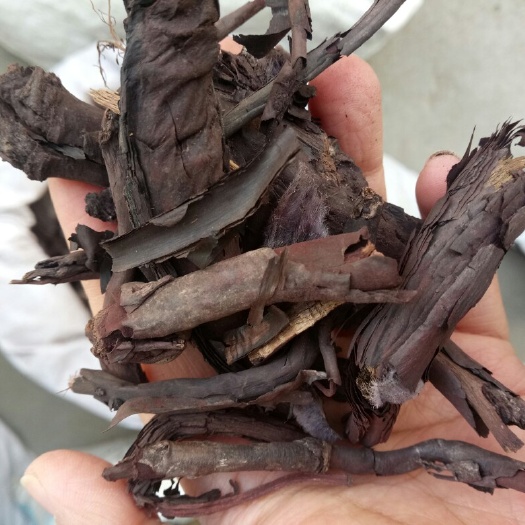 安国市紫草  中药材干货 量大从优 各种规格