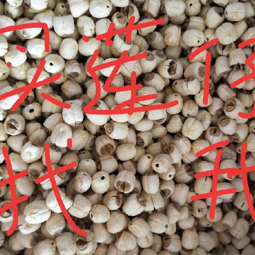赣州通芯莲 95%以上 特级 