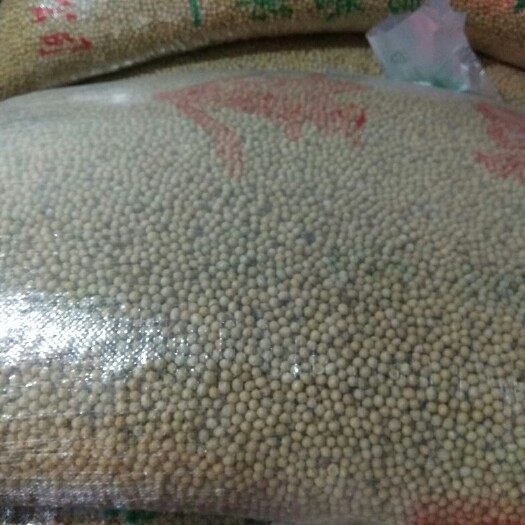 泸州黑龙江大豆 生大豆 1等品