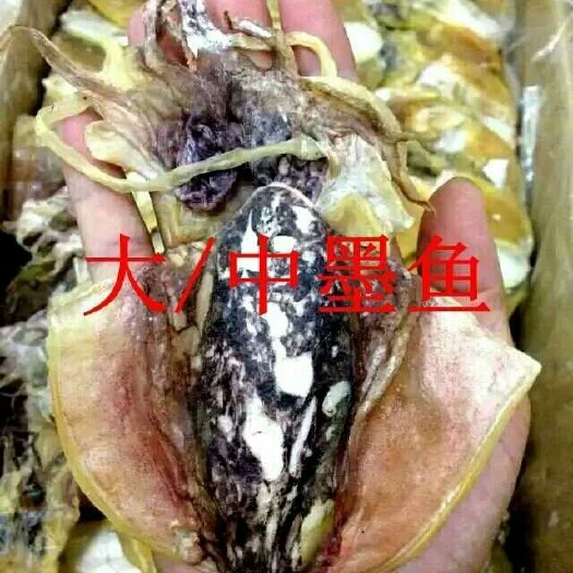 深圳墨鱼干