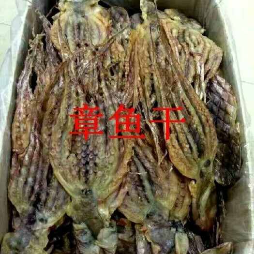 深圳八爪鱼干