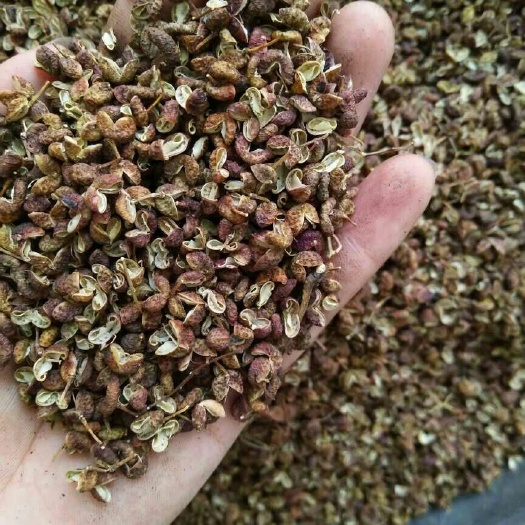 枣庄 青花椒 干花椒 特级