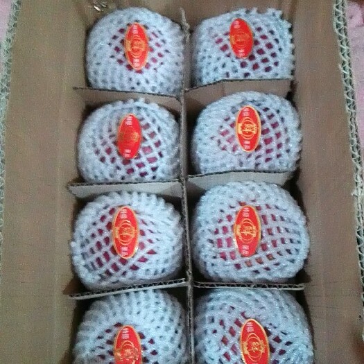 昭通昭通苹果 70mm以上 片红 光果