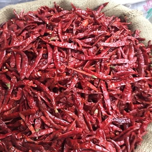 长沙印度椒粉