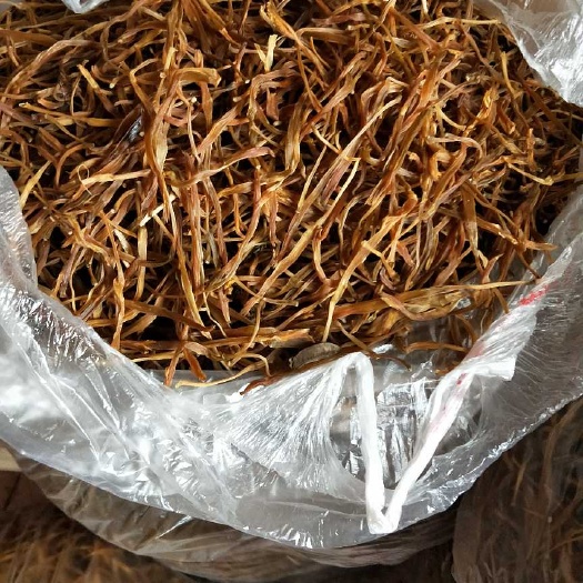 聊城小黄花菜 散装 一级 山东黄花菜 散装 一级