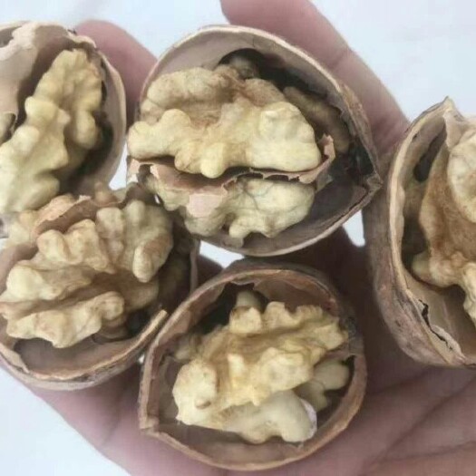 和田县新疆核桃 