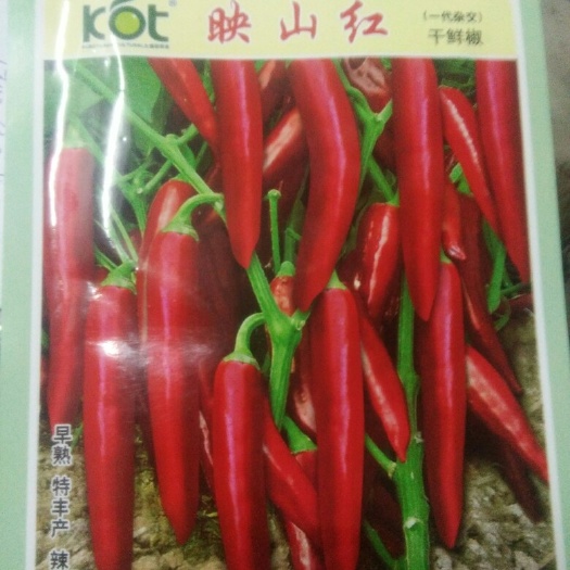 钦州红辣椒籽 85%以上 杂交种 