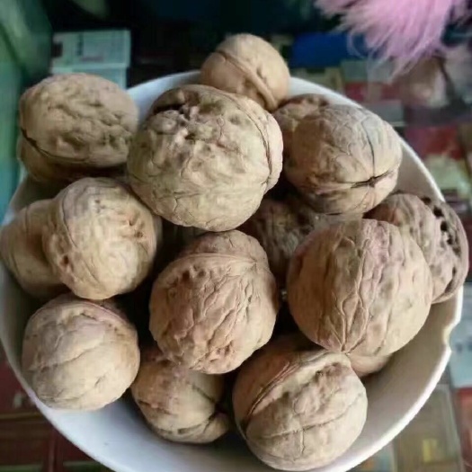 临县吕梁核桃批发零售产地直销