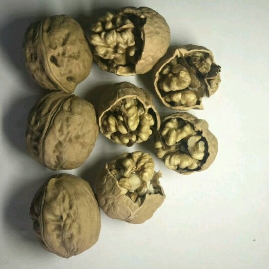 砀山县薄皮核桃