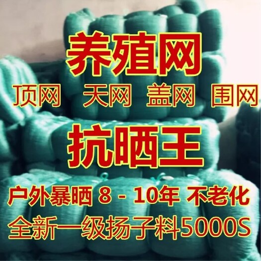 邻水县护栏网/  孔雀养鸡网山鸡网拦鸡网网片拦网小鸡家禽养殖菜园网格月季花