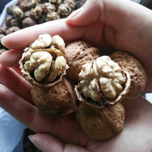 昆明云南漾濞核桃 