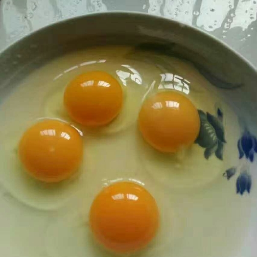 京山市土鸡蛋 箱装 食用