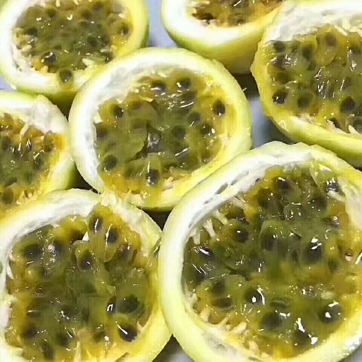 北流市黄金百香果  芭乐味黄金果(纯甜批发价另议)包邮