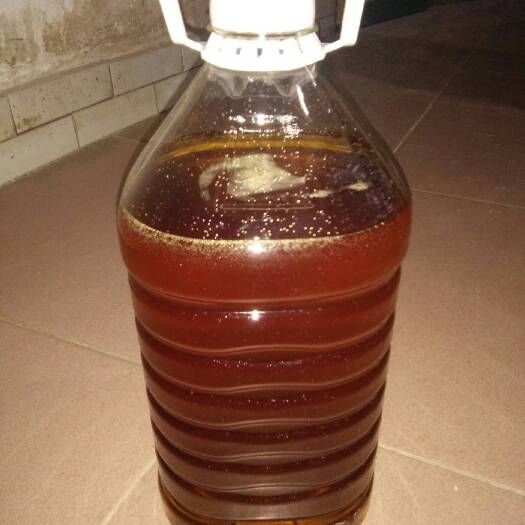 株洲现榨山茶油 