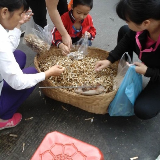 广州 地摊深海天然小鱼干 深海天然小鱼仔 地摊鱼干