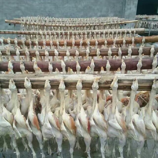鸡肉类  鸡，农家土鸡，咸鸡，盐水草鸡