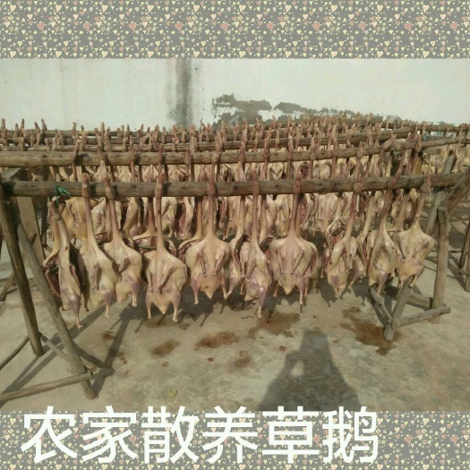 句容市 茅山老鹅，白条鹅，盐水鹅，咸鹅，清蒸好食材