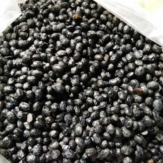 玉林 樟木豆豉