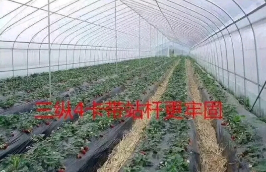 沭阳县热镀锌管 