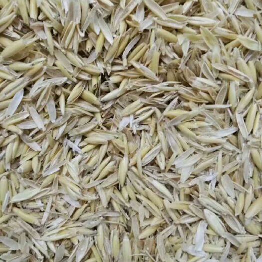 潮州糠麸饲料  麦壳