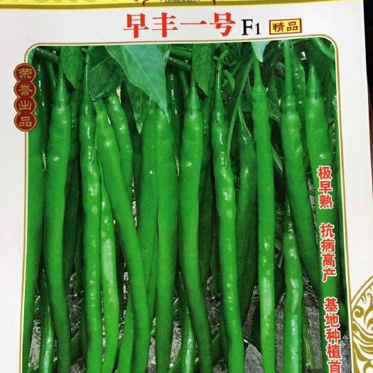 重庆市二荆条辣椒苗 8～10片真叶