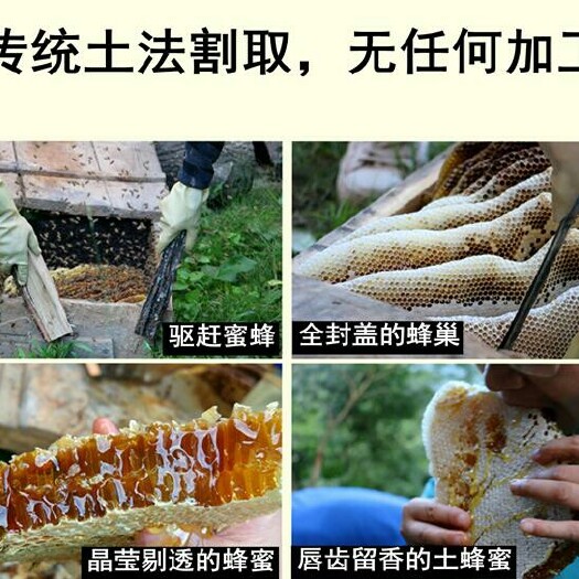 供应土蜂蜜枇杷蜜一级瓶装枇杷蜜蜂蜜