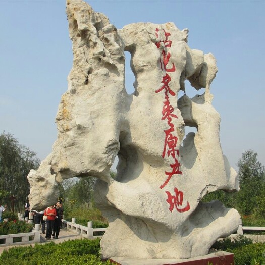 滨州冬枣树苗 新品种二代