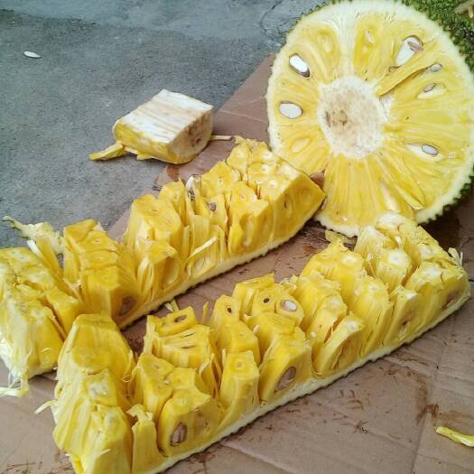 海南菠萝蜜 15斤以上 
