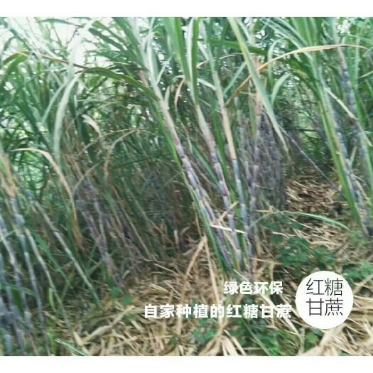 赣州甘蔗原汁红糖