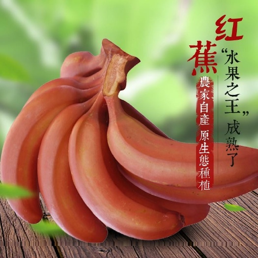 南靖县红皮香蕉红香蕉红美人香蕉