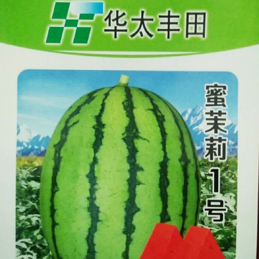 礼品小西瓜种子吊蔓爬地西瓜品种厂家批发包邮