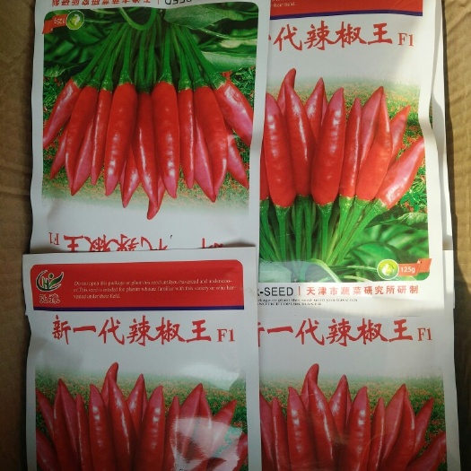 临颍县朝天椒种子 95%以上 杂交种