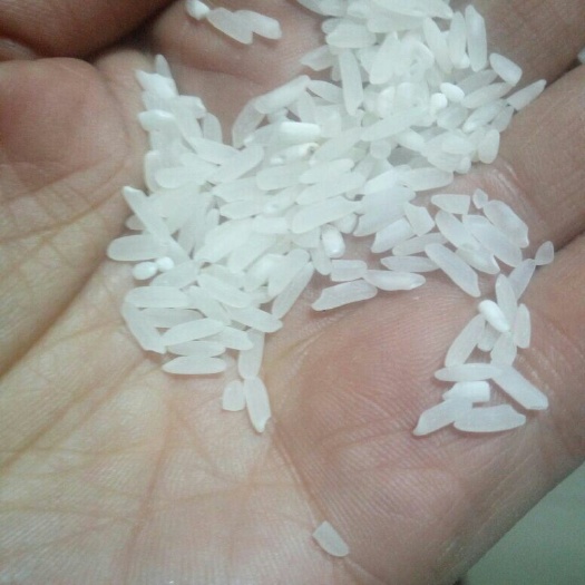 洋县香米  粮油