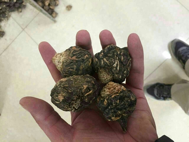 贵港玛咖 