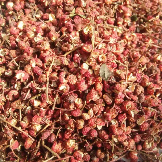 磁县大红袍花椒 干花椒 一级 