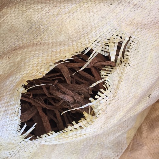 永胜县续断