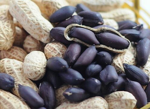 黑花生种子一花生种子