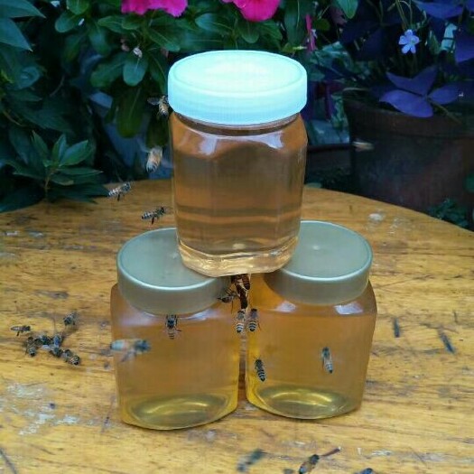 蒙阴县百花蜜 塑料瓶装  1年 