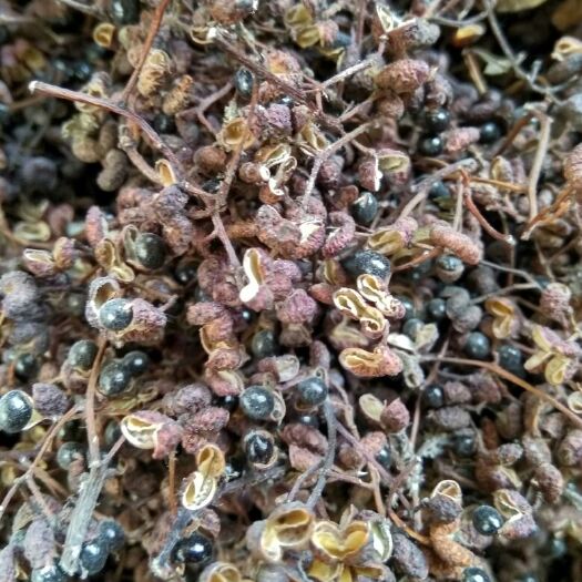 延津县大红袍花椒 干花椒 一级